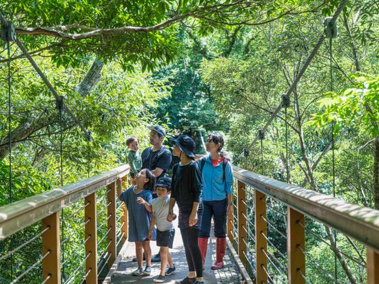 ネイチャーガイドツアー