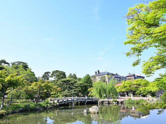 京都ウォーキングツアー　知恩院界隈を歩く 清らかな白川沿いと念仏始まりの地へ＜2時間／東山駅発／京都市＞