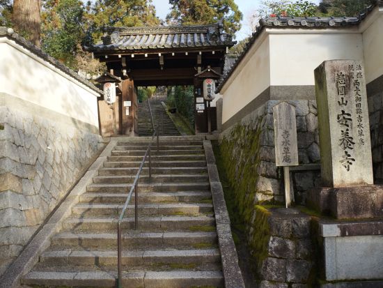 京都ウォーキングツアー　知恩院界隈を歩く 清らかな白川沿いと念仏始まりの地へ＜2時間／東山駅発／京都市＞