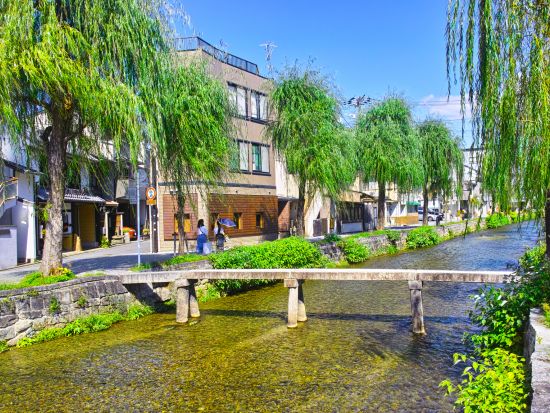 京都ウォーキングツアー　知恩院界隈を歩く 清らかな白川沿いと念仏始まりの地へ＜2時間／東山駅発／京都市＞