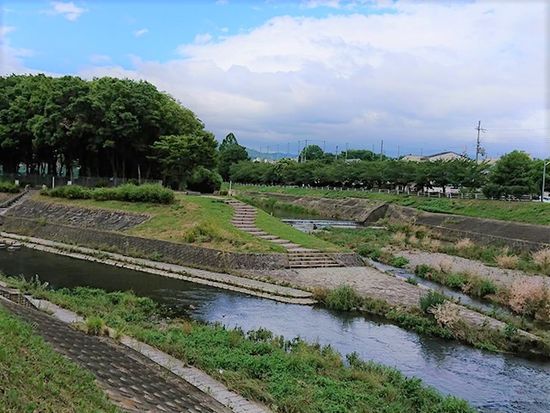山科デルタ
