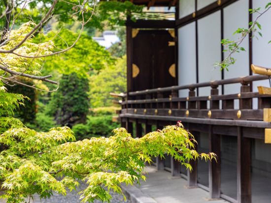 京都・山科ウォーキングツアー 玉の輿・金運の御利益と秀吉が崇敬した八幡宮＜3時間／京都市＞