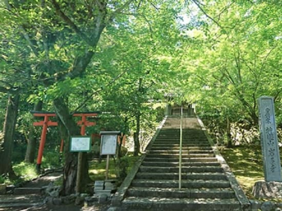 岩屋寺階段