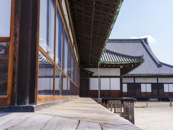 世界遺産 二条城ウォーキングツアー 徳川将軍権力の象徴 地元ガイドが徹底的にご案内＜3時間／京都市＞