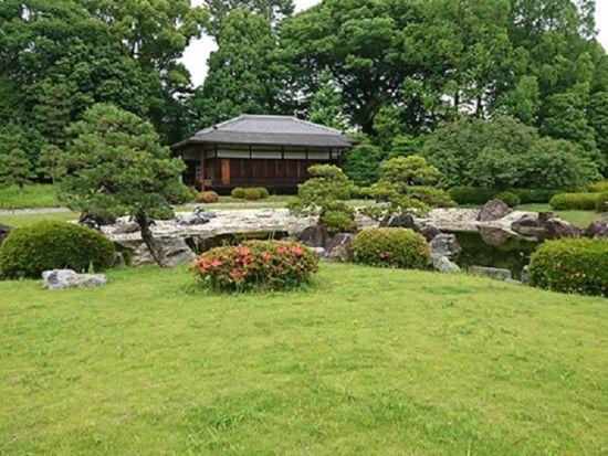 世界遺産 二条城ウォーキングツアー 徳川将軍権力の象徴 地元ガイドが徹底的にご案内＜3時間／京都市＞