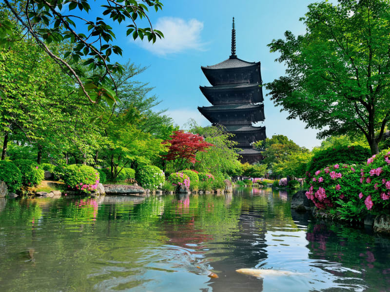 Japan_Kyoto_Toji Temple_Garden_123RF_37869691