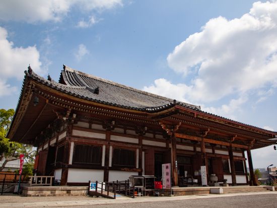 世界遺産・東寺を巡る　地元ガイドと行く真言密教始まりの地 ウォーキングツアー＜2時間半／近鉄東寺駅発／京都市＞