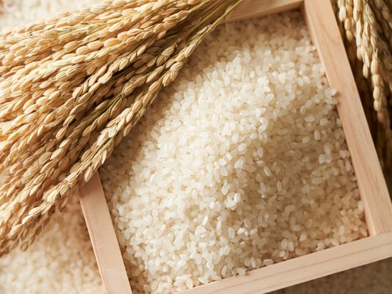 pixta_78051963_M＿米