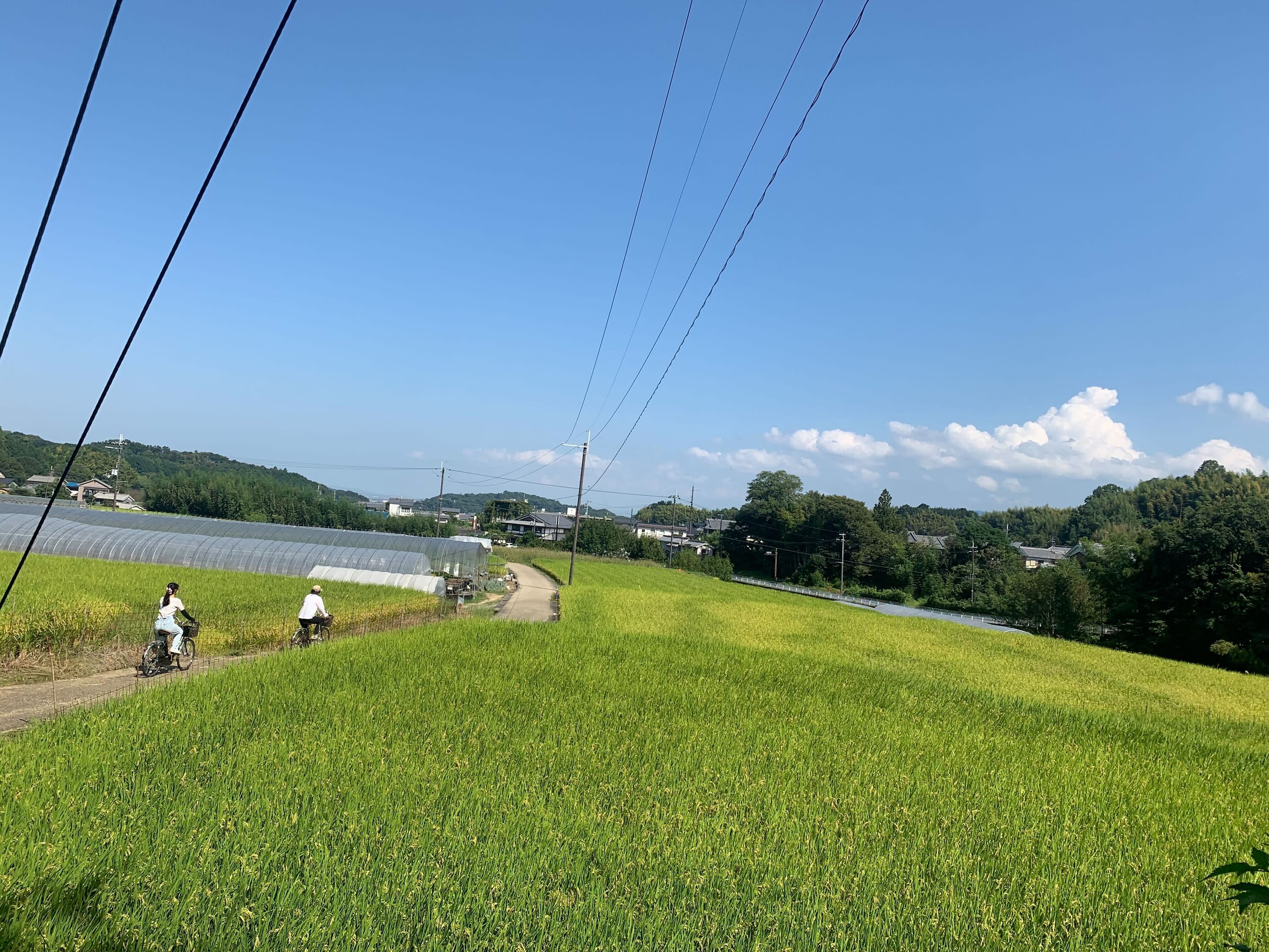 奈良の観光遊び・体験・レジャー専門予約サイト　サイクリングツアー　「日本のはじまりの地」をガイドと巡る＜午後／明日香村＞　VELTRA(ベルトラ)