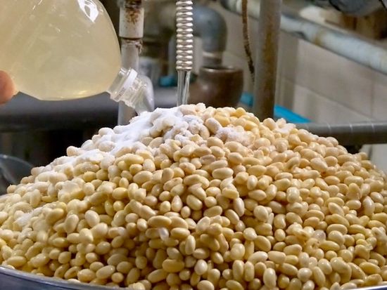 making_tofu_4-1024x671