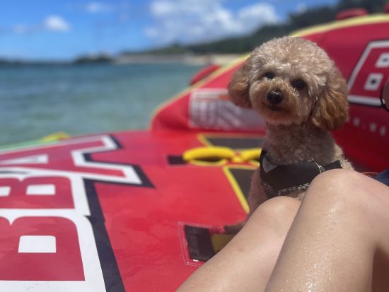 貸切マリンアクティビティ3時間遊び放題 「マリンスポーツ＋SUP＆カヤック or テントサウナ」or「フライボード＋ホバーボード」＜貸切／本島中部 宜野湾市＞