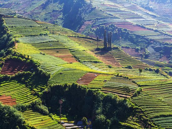 ディエン高原観光ツアー　アルジュナ寺院群＆シキダン噴火口 ＜貸切／昼食付き／日本語ガイド＞