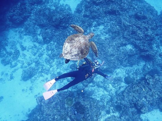 北谷発慶良間ファンダイビング 初心者や1名様大歓迎！圧倒的透明度の"ケラマブルー"を海中散歩＜2～5ダイブ／北谷エリア送迎無料＞by オーシャンビーチちゃたん