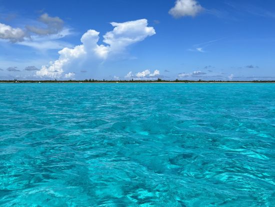 コスメル島シュノーケリングツアー！天国の海「エルシエロ（El Cielo）」を含む4つの絶景ポイントへご案内＜英語／コスメル島発着＞