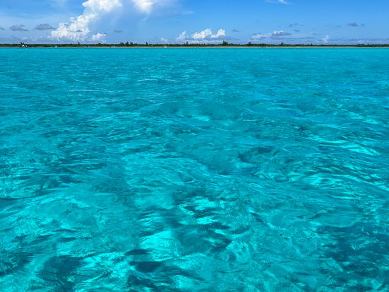 AE815E51-2848-4FC5-BAAA-D13F32E1ADBF