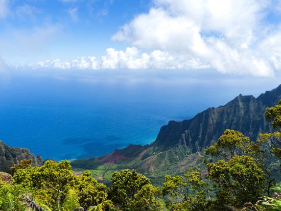 カウアイ島日帰りツアー　カウアイ島の大自然を満喫！ワイメア渓谷や絶景ビュースポットを巡る by H.I.S. ＜オアフ島発着/日本語ガイド＞