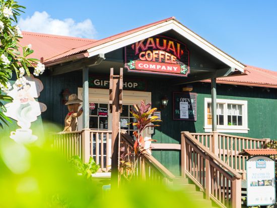 カウアイ島日帰りツアー　カウアイ島の大自然を満喫！ワイメア渓谷や絶景ビュースポットを巡る by H.I.S. ＜オアフ島発着/日本語ガイド＞