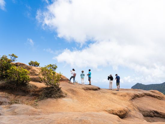 カウアイ島日帰りツアー　カウアイ島の大自然を満喫！ワイメア渓谷や絶景ビュースポットを巡る by H.I.S. ＜オアフ島発着/日本語ガイド＞