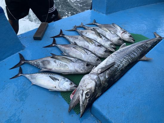海釣り体験　プーケットの海でトローリング＆根釣りを楽しむフィッシングツアー ＜昼食付き／英語対応＞