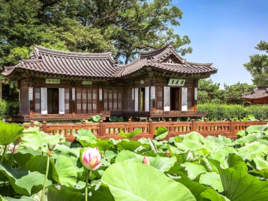 江原 江陵（カンヌン）日帰りツアー　烏竹軒＋船橋荘＋注文津海水浴場　韓国ドラマロケ地＆人気K-POPグループの聖地巡り＜1日／昼食付／日本語ガイド／ソウル発＞