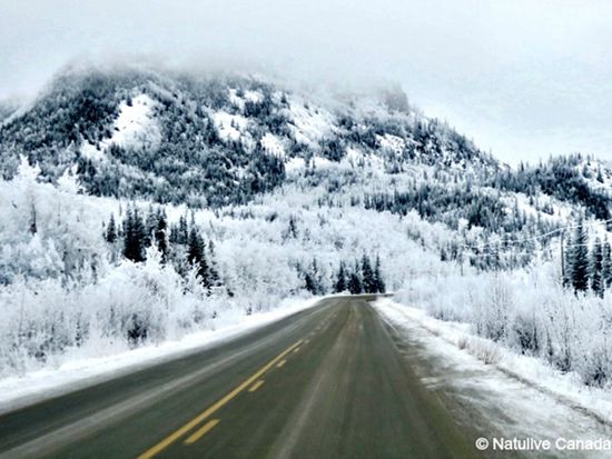 Whitehorse-Klondike-Highway-Winter-01-600