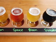 Winterlong-Brewing-01-600