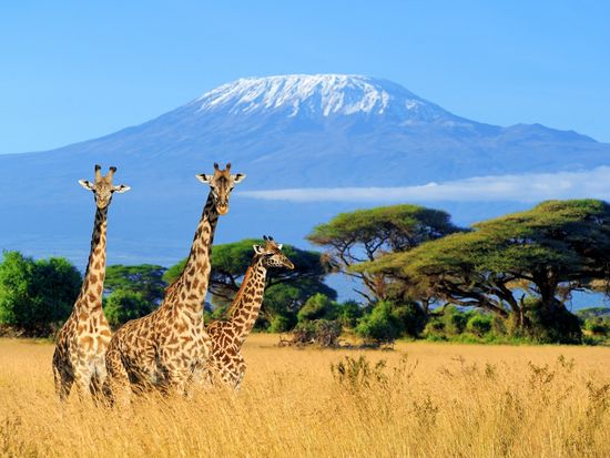 Amboseli National Park_shutterstock_662889487