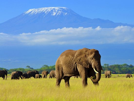 Africa_Kenya_Amboseli_shutterstock_1110105137