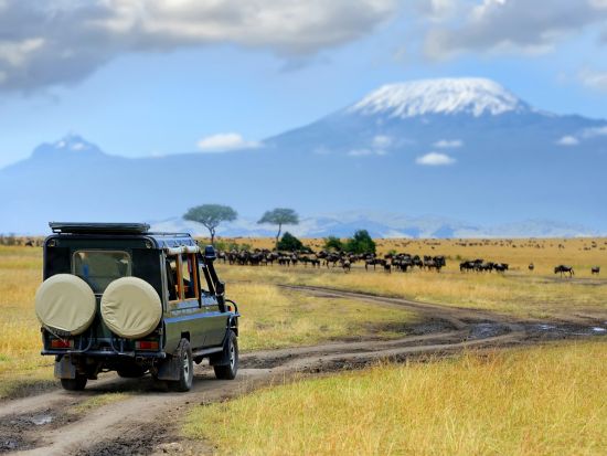 【ナイロビ発着 4泊5日】朝夕サファリ三昧！国立公園周遊ツアー　アンボセリ＆ナクル湖＆マサイマラ＜貸切／日本語or英語／選べるオプション充実／市内or空港送迎＞