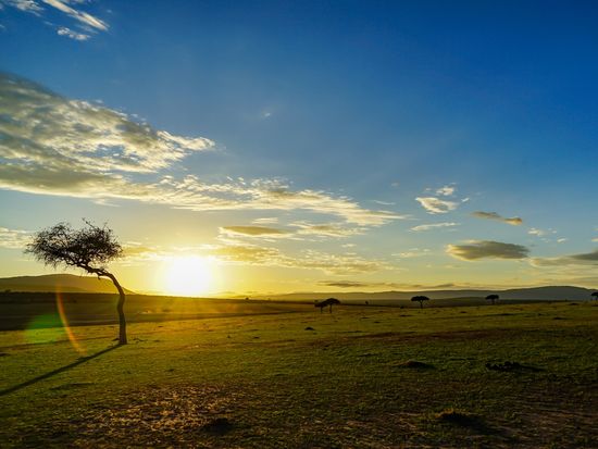 masai mara_pixta_81941808_M