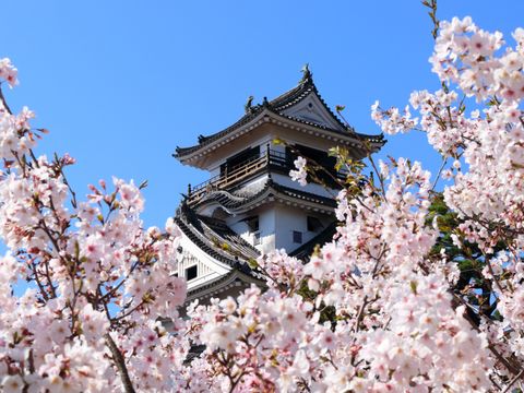 pixta_64136875_M