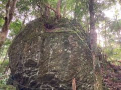 pixta_98836278_M