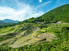 pixta_65312010_M
