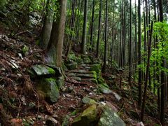 pixta_65135554_M