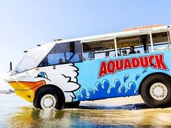 Aquaduck-1