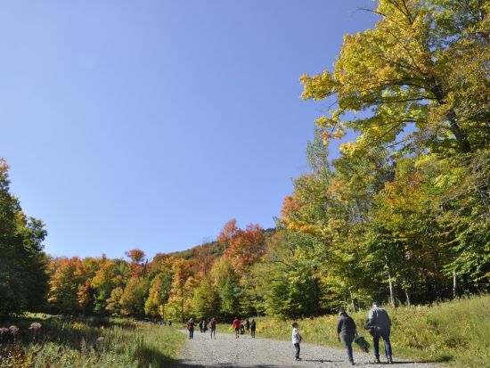 イースタン・タウンシップス1日観光ツアー　静かに息づくリゾート地 ＜4～10月／昼食付き／日本語ガイド／モントリオール発＞