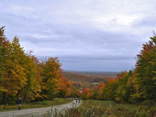 イースタン・タウンシップス1日観光ツアー　静かに息づくリゾート地 ＜4～10月／昼食付き／日本語ガイド／モントリオール発＞