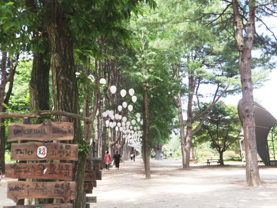 韓国ドラマロケ地＆人気テーマパーク日帰りツアー　南怡島（ナミソム）＆プチフランス＆イタリア村 ＜英語ガイド／ソウル発＞