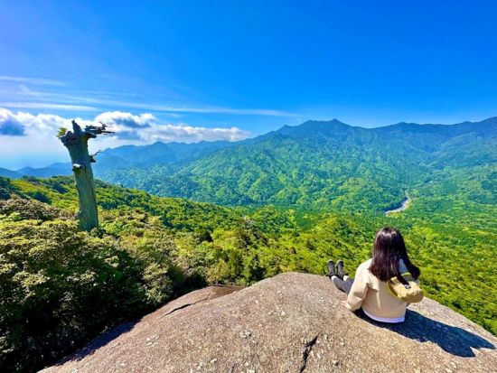 白谷雲水峡・太鼓岩トレッキングツアー  屋久島プロフェッショナルガイドがご案内　屋久島のおやつ付き by GUIDE OFFICE 屋久島