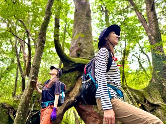 屋久島公認ガイド渡邉さんと行く！太鼓岩モーニングトレッキングツアー　学び、笑い、感動ありの冒険！ 山中ランチ＆写真プレゼント付き ＜宮之浦～安房エリア送迎可＞