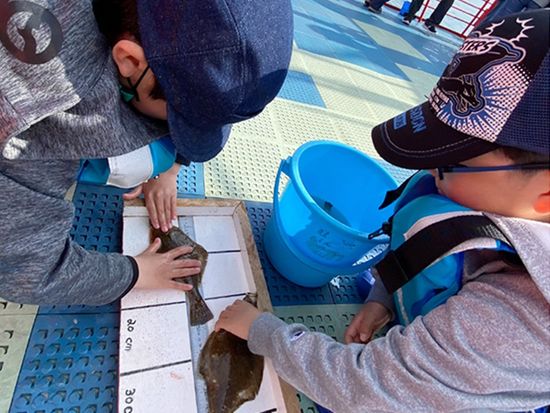 fishing-cr2023-2 - コピー