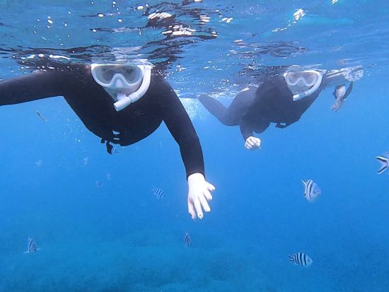 95％で出会えるウミガメシュノーケリング＋青の洞窟探検ツアー★1日4便！当日予約OK！写真撮影サービス＜3時間／市街地送迎可＞byマーレ石垣島