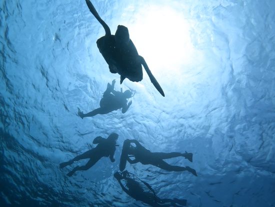 95％で出会えるウミガメシュノーケリング＋青の洞窟探検ツアー★1日4便！当日予約OK！写真撮影サービス＜3時間／市街地送迎可＞byマーレ石垣島