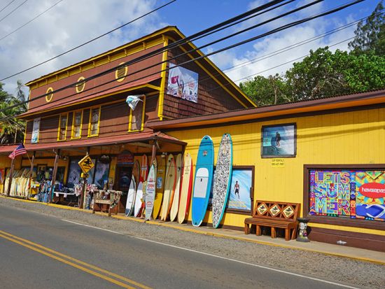 ノースショア（ハレイワ）観光　ドールプランテーション＋ハレイワタウン自由散策　日本語サポート付き英語ガイドがご案内する半日ツアー