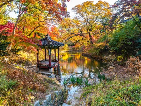 午後発！ソウル市内観光ツアー　世界遺産昌徳宮（チャンドックン）＋秘苑（後苑）特別観覧＋北村　韓国有数の王朝庭園を見学＜水・金・日／日本語ガイド＞