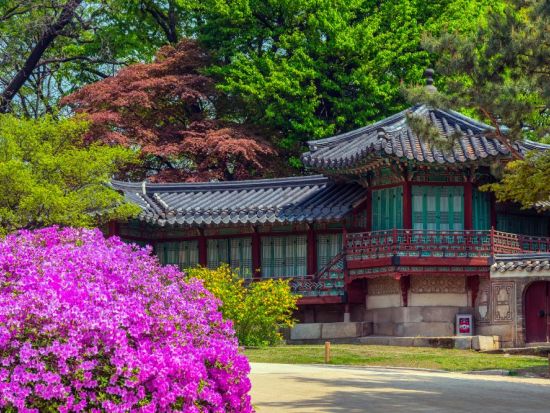 午後発！ソウル市内観光ツアー　世界遺産昌徳宮（チャンドックン）＋秘苑（後苑）特別観覧＋北村　韓国有数の王朝庭園を見学＜水・金・日／日本語ガイド＞