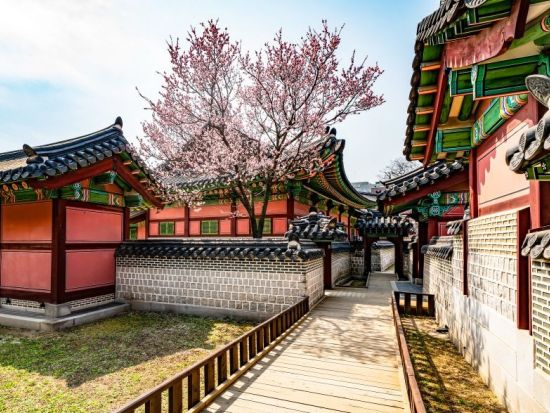 午後発！ソウル市内観光ツアー　世界遺産昌徳宮（チャンドックン）＋秘苑（後苑）特別観覧＋北村　韓国有数の王朝庭園を見学＜水・金・日／日本語ガイド＞