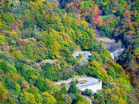 東京発日帰りバスツアー 日光東照宮＆華厳ノ滝！中禅寺湖フリータイム or 温泉で癒し体験♪＜英語・中国語ガイド／外国人混在ツアー＞