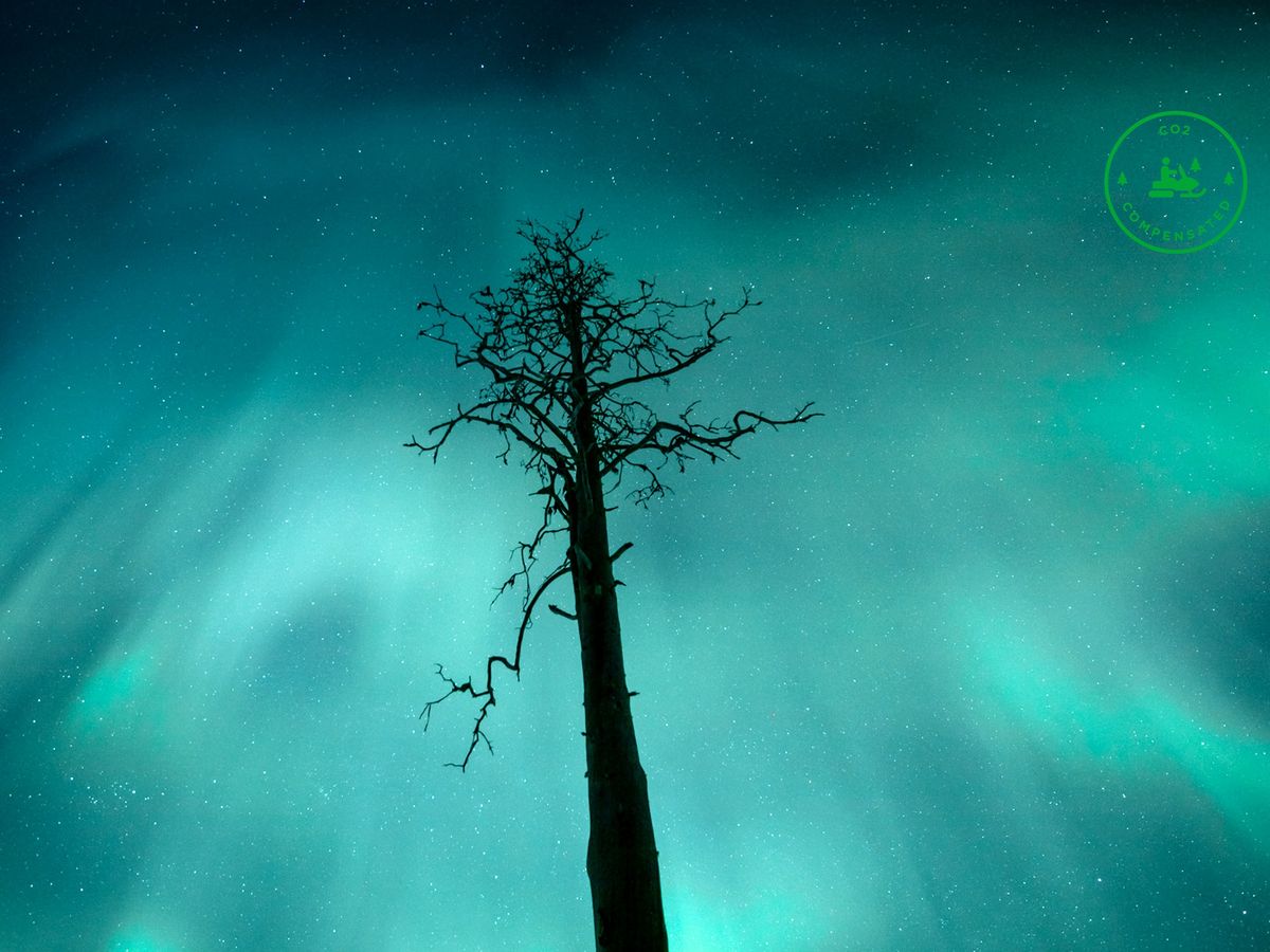 オーロラ | フィンランド 旅行の観光・オプショナルツアー予約 VELTRA