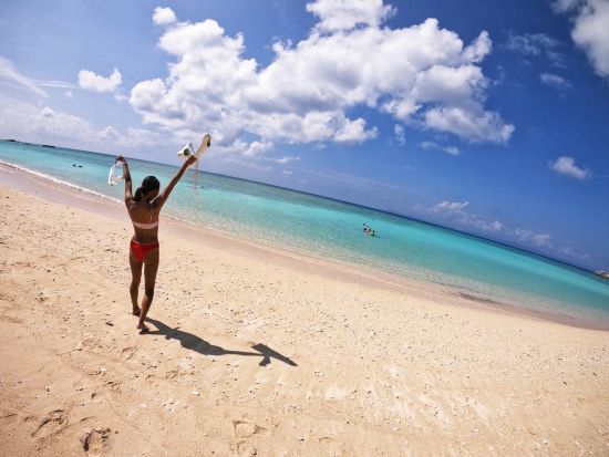 幻の島上陸+体験ダイビングツアー 数々のCM撮影地ともなったロケーション抜群の無人島でダイビング＜半日／石垣島発＞